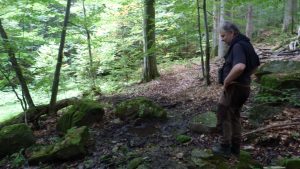 Slavo Findo brown bear protection in Slovakia